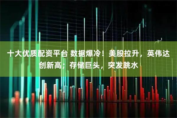 十大优质配资平台 数据爆冷！美股拉升，英伟达创新高；存储巨头，突发跳水